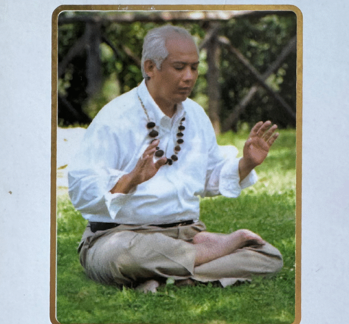 Ação-Inspirada-Sutras-do-Lotus-Dourado-no-Ensinar